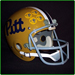 Pitt 1973